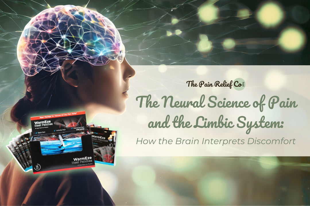 The Neural Science of Pain and the Limbic System: How the Brain Interprets Discomfort