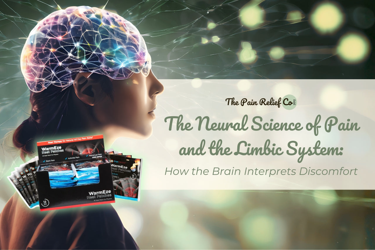 The Neural Science of Pain and the Limbic System: How the Brain Interprets Discomfort